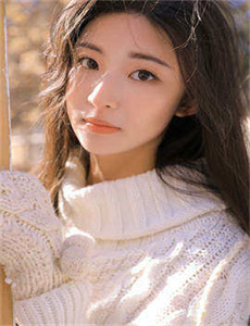 黄飞鸿1991